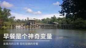 拯救机灵鸟